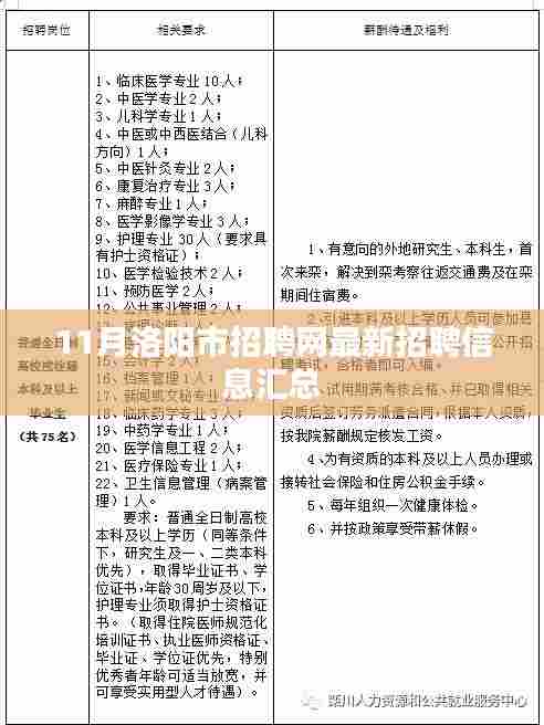 11月洛阳市招聘网最新招聘信息汇总