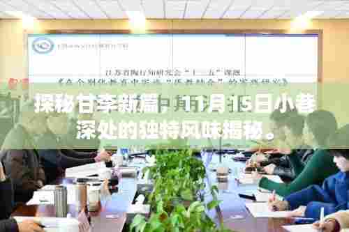 探秘甘李新篇,11月15日小巷深处的独特风味揭秘。