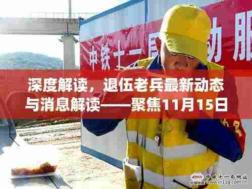 深度解读，退伍老兵最新动态与消息解读——聚焦11月15日要闻
