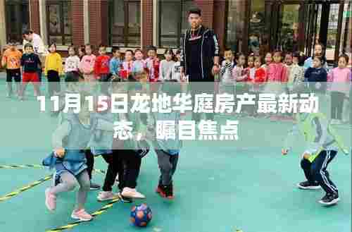 11月15日龙地华庭房产最新动态,瞩目焦点