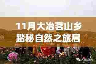 11月大冶茗山乡踏秘自然之旅启程,心灵之旅的最新报道