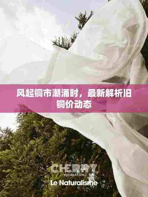 风起铜市潮涌时，最新解析旧铜价动态