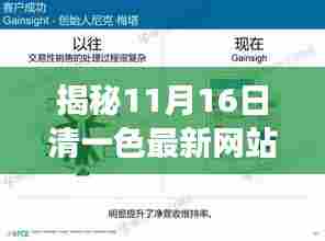 揭秘11月16日清一色最新网站，全新体验与特色功能探讨