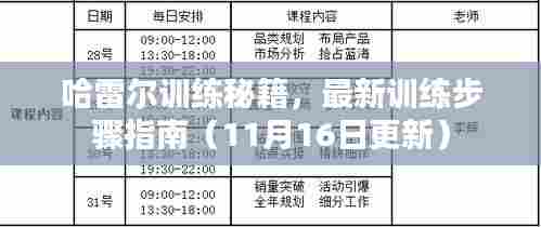 哈雷尔训练秘籍，最新训练步骤指南（11月16日更新）