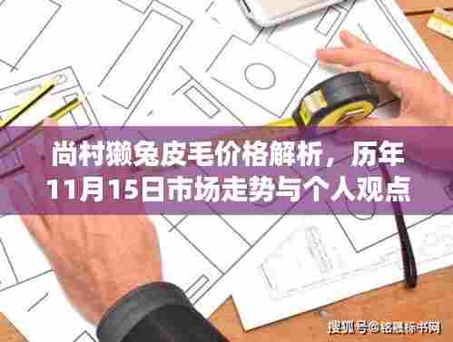 尚村獭兔皮毛价格解析,历年11月15日市场走势与个人观点分析。