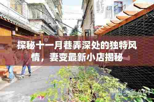 探秘十一月巷弄深处的独特风情，妻变最新小店揭秘
