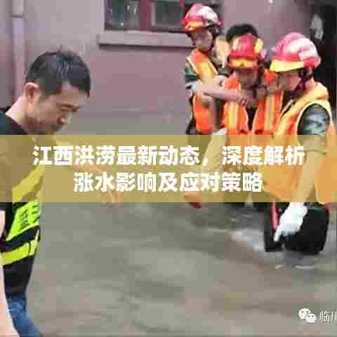 江西洪涝最新动态，深度解析涨水影响及应对策略