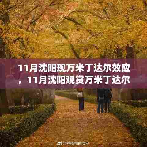 沈阳11月惊艳现万米丁达尔效应，神秘光影之美一览无余