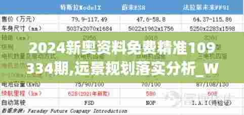 2024新奥资料免费精准109334期,远景规划落实分析_WMJ9.17