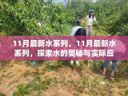 11月最新水系列，11月最新水系列，探索水的奥秘与实际应用