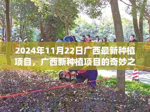广西新种植项目奇妙之旅，爱与陪伴的种子在金秋盛开