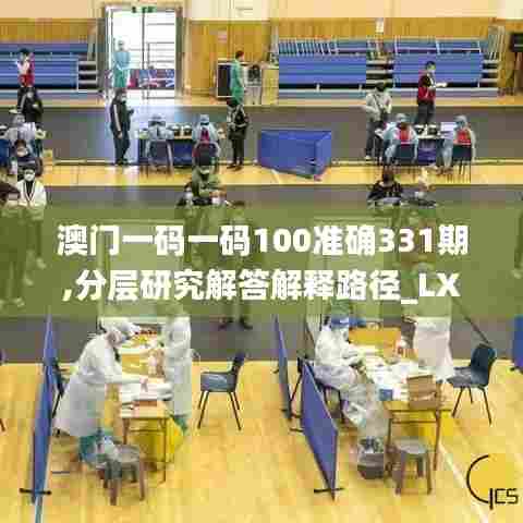 澳门一码一码100准确331期,分层研究解答解释路径_LXP7.61