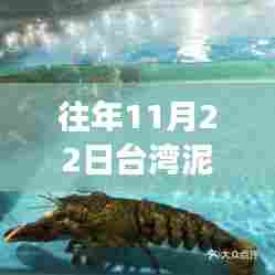 台湾泥鳅情缘，秋日渔市与家的温暖故事及最新泥鳅价格行情