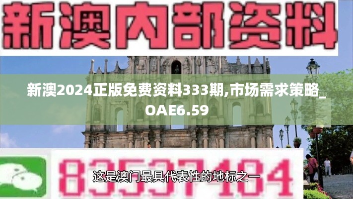 新澳2024正版免费资料333期,市场需求策略_OAE6.59