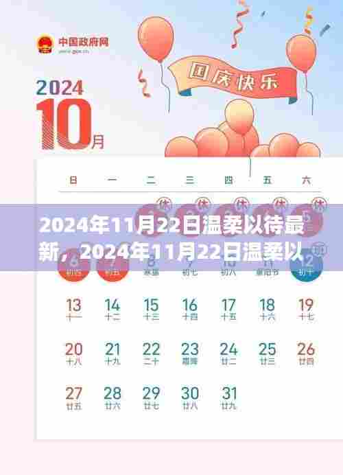 人文关怀与技术发展的平衡之道，探索温柔以待的最新视角