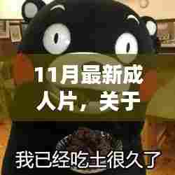 11月最新成人片，关于11月最新成人影片的详细介绍与评测