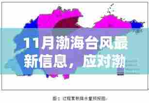 11月渤海台风最新动态与应对指南，台风信息及应对策略全解析