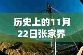 历史上的11月22日张家界磁悬浮最新消息及关注步骤指南