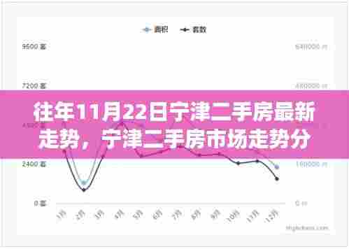 近年11月22日宁津二手房市场走势分析与最新动态