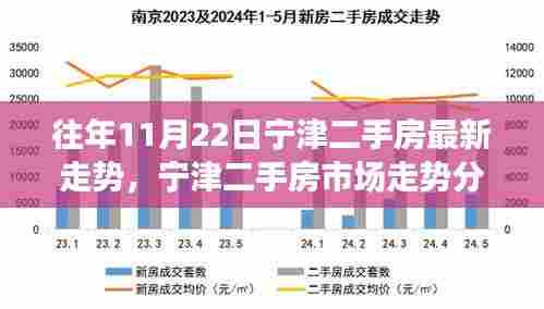 近年11月22日宁津二手房市场走势分析与最新动态
