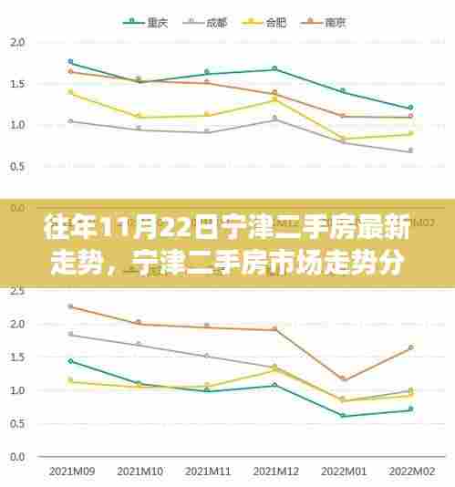 近年11月22日宁津二手房市场走势分析与最新动态