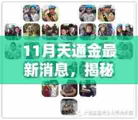揭秘十一月天通金最新动态，领域地位重塑与背景回顾