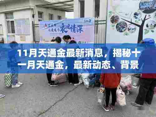揭秘十一月天通金最新动态,领域地位重塑与背景回顾