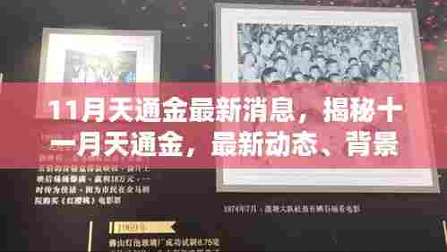 揭秘十一月天通金最新动态,领域地位重塑与背景回顾