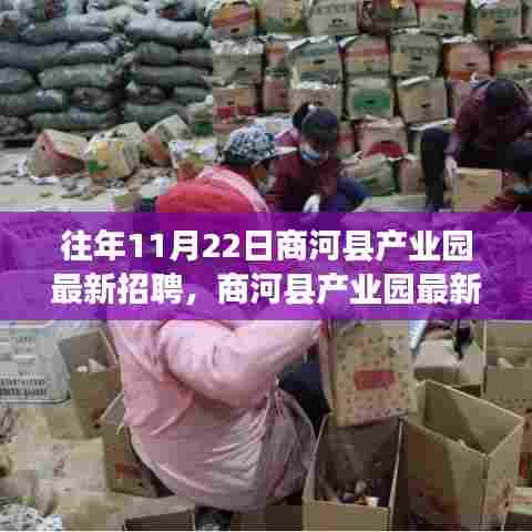 商河县产业园历年11月22日招聘盛况解析,最新热点聚焦