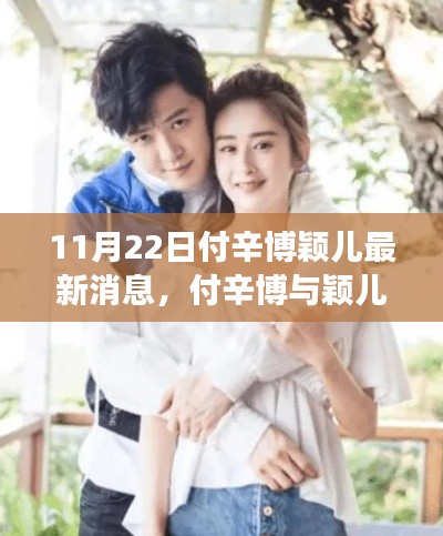 付辛博颖儿最新动态揭秘,背后的故事与传闻曝光(独家报道)
