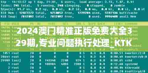 2024澳门精准正版免费大全329期,专业问题执行处理_KTK4.69