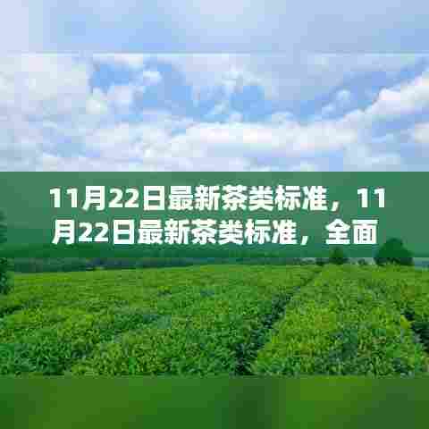 最新茶类标准全面评测与介绍，深度解读11月22日更新