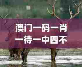 澳门一码一肖一待一中四不像334期,接力解答解释落实_ZXK1.14