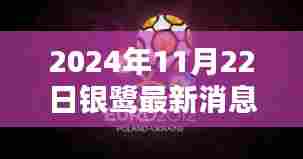 银鹭新篇章,日常中的奇妙相遇与深厚友情(温馨消息,2024年11月22日更新)