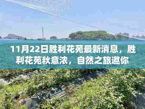 文质彬彬 第5页
