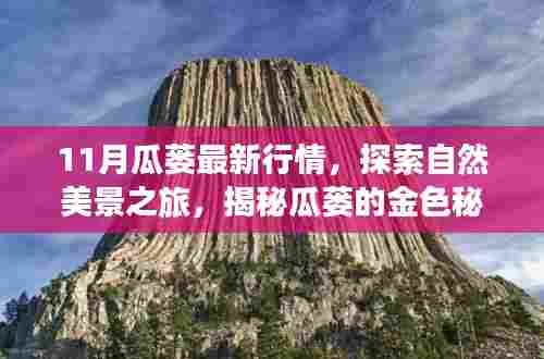 揭秘瓜蒌行情与探索自然美景，启程寻找宁静与平和的金色秘密之旅