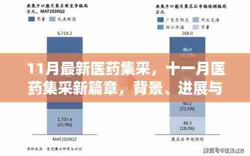 11月医药集采新篇章，背景、进展与深度影响剖析