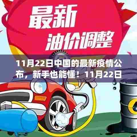 中国最新疫情公布解读与步骤指南（11月22日版）新手也能轻松了解！