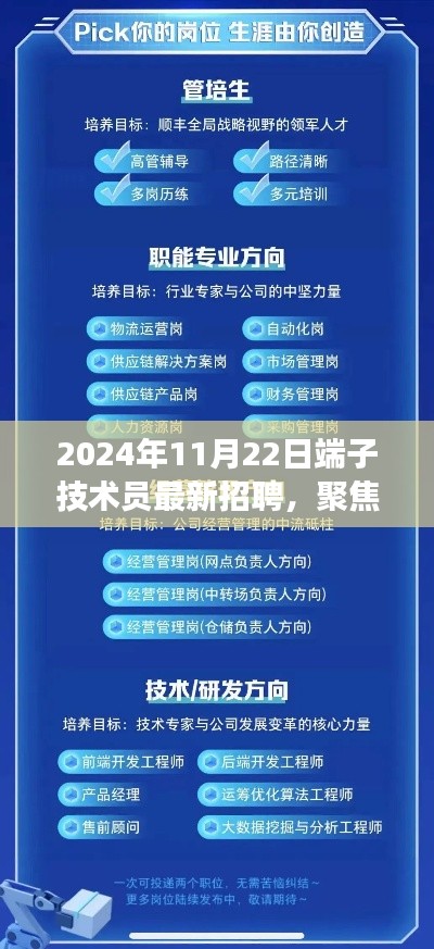 聚焦2024年11月22日端子技术员招聘，行业前沿与职业发展机遇揭秘