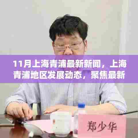 上海青浦最新发展动态及观点探讨，聚焦11月新闻热点