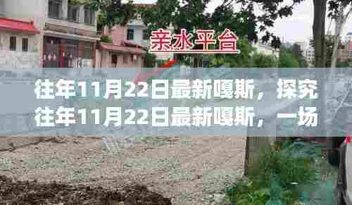 往年11月22日最新嘎斯，文化与时间的交汇盛宴