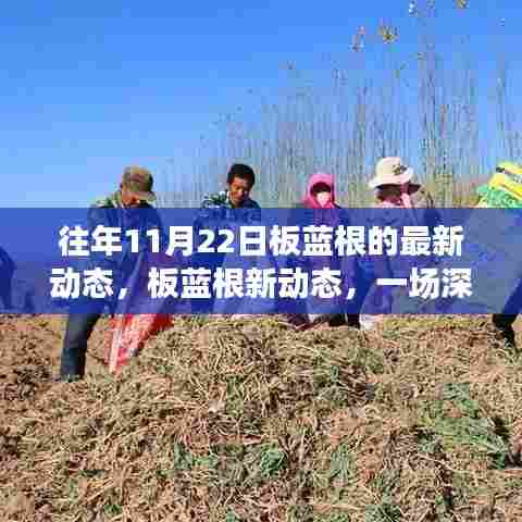 探寻深秋板蓝根新动态，自然之旅与内心的宁静与平和
