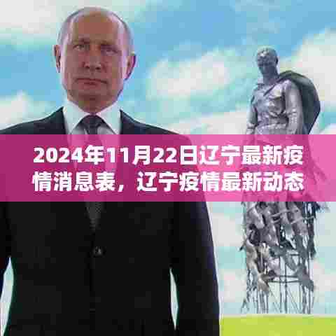 2024年11月22日辽宁疫情最新动态与回顾,影响分析与现状