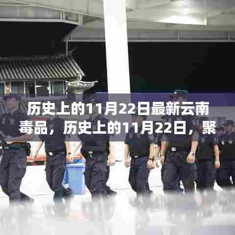 历史上的11月22日,聚焦云南毒品现状及其深远影响
