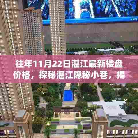 湛江隐秘小巷与独特小店背后的故事，往年11月22日最新楼盘价格揭秘