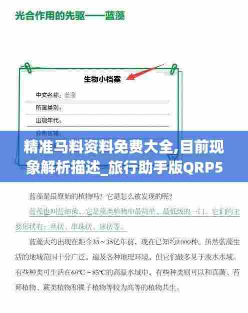 精准马料资料免费大全,目前现象解析描述_旅行助手版QRP5.2