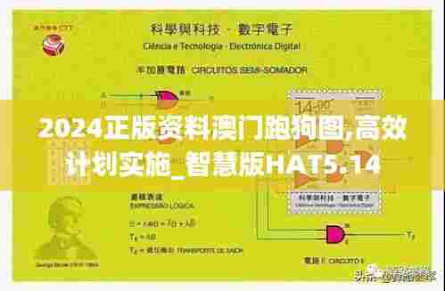 2024正版资料澳门跑狗图,高效计划实施_智慧版HAT5.14