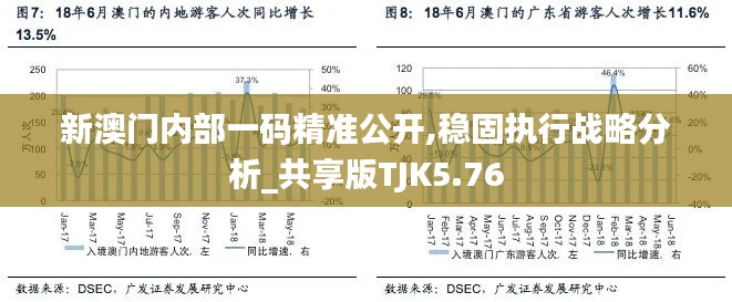 新澳门内部一码精准公开,稳固执行战略分析_共享版TJK5.76