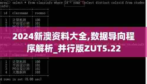 2024新澳资料大全,数据导向程序解析_并行版ZUT5.22