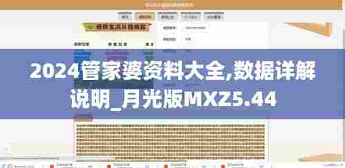 2024管家婆资料大全,数据详解说明_月光版MXZ5.44
